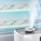Are Air Purifiers Harmful?