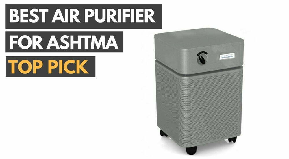 Best Air Purifier Asthma vlr.eng.br