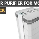 The top air purifiers to protect from mold.