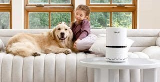 best air purifier for smoking weed