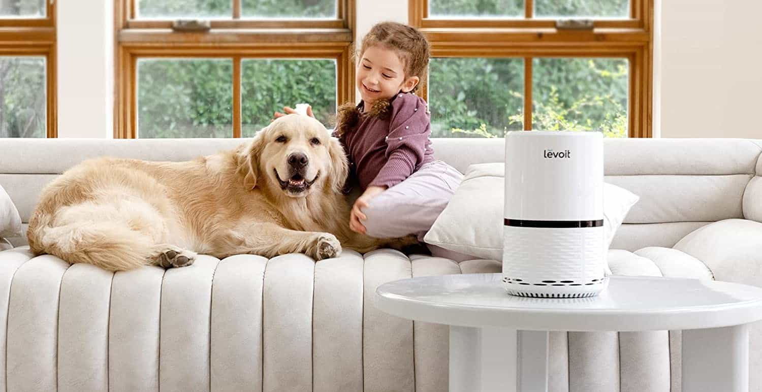 Best Air Purifiers for Smoking Weed in 2023