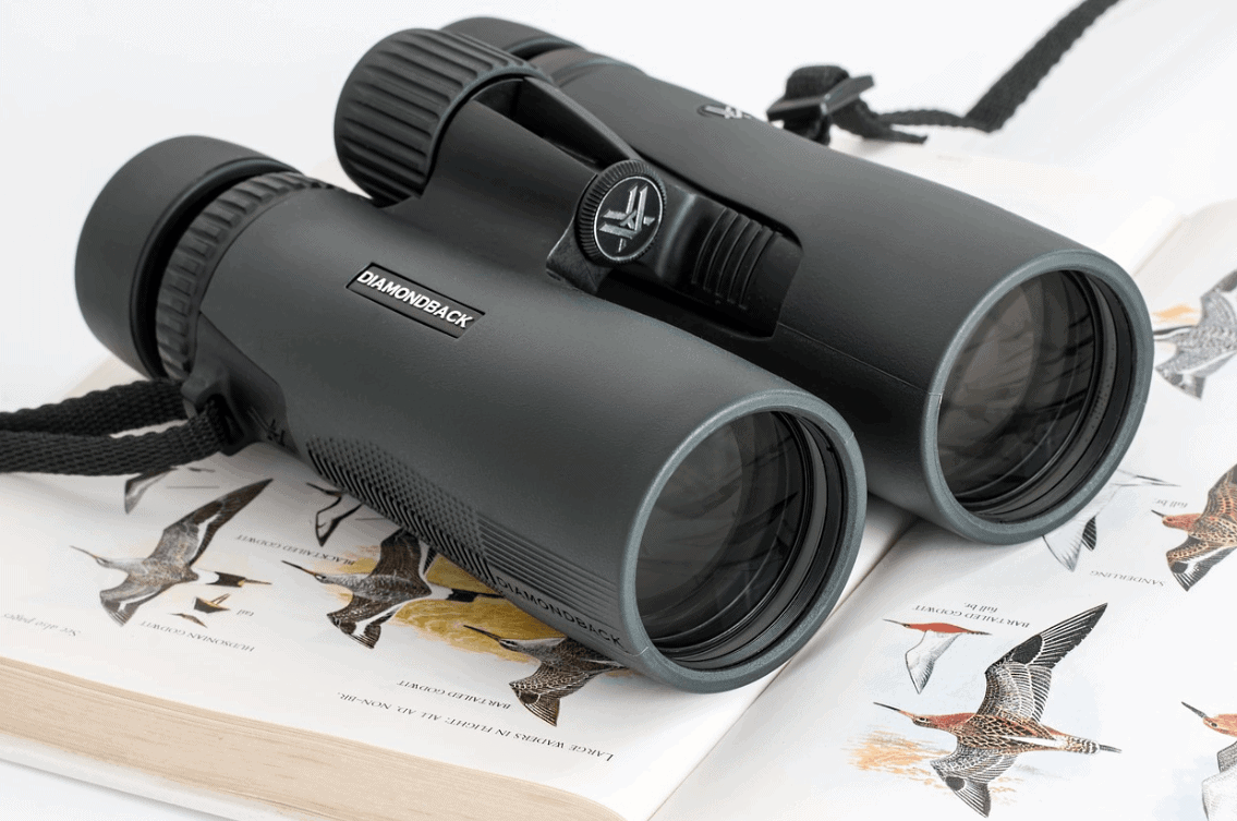 7 Best Compact Binoculars in 2023