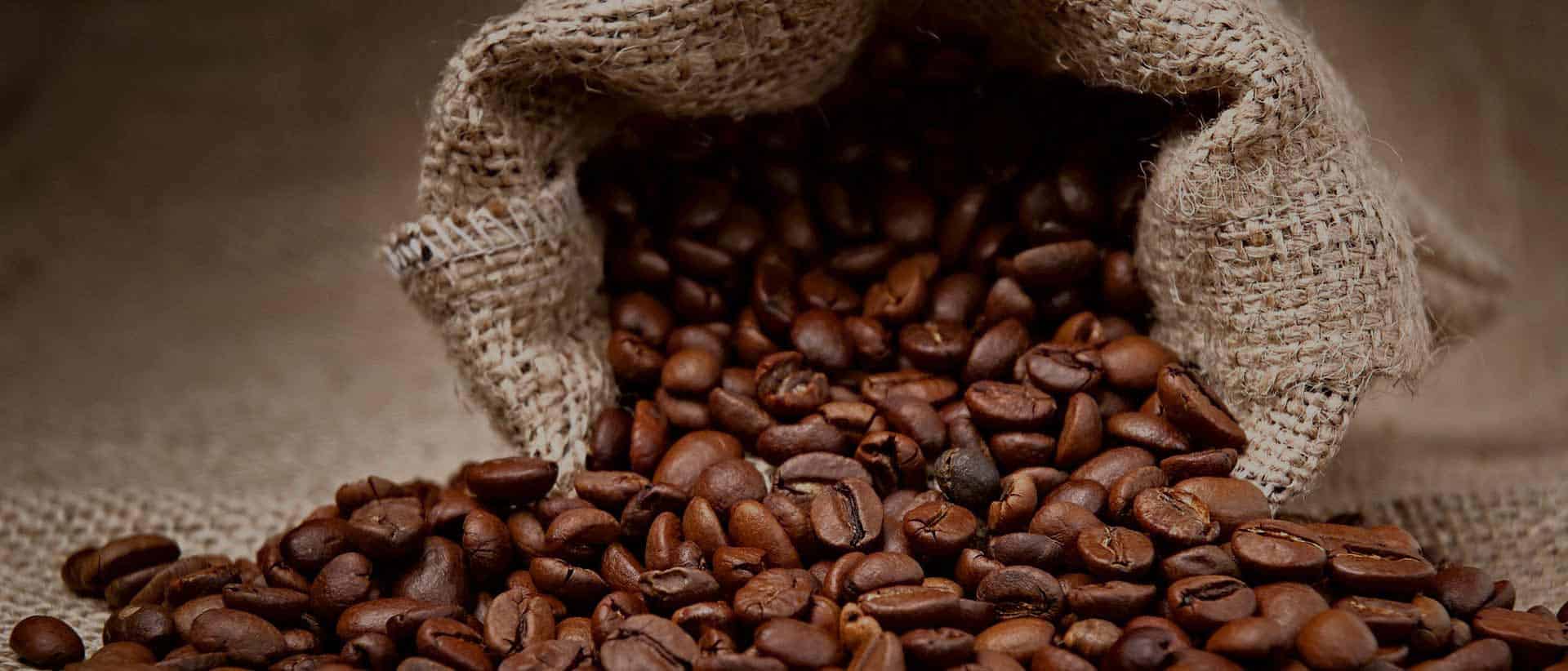Best Decaf Coffee Beans In - Top 7 