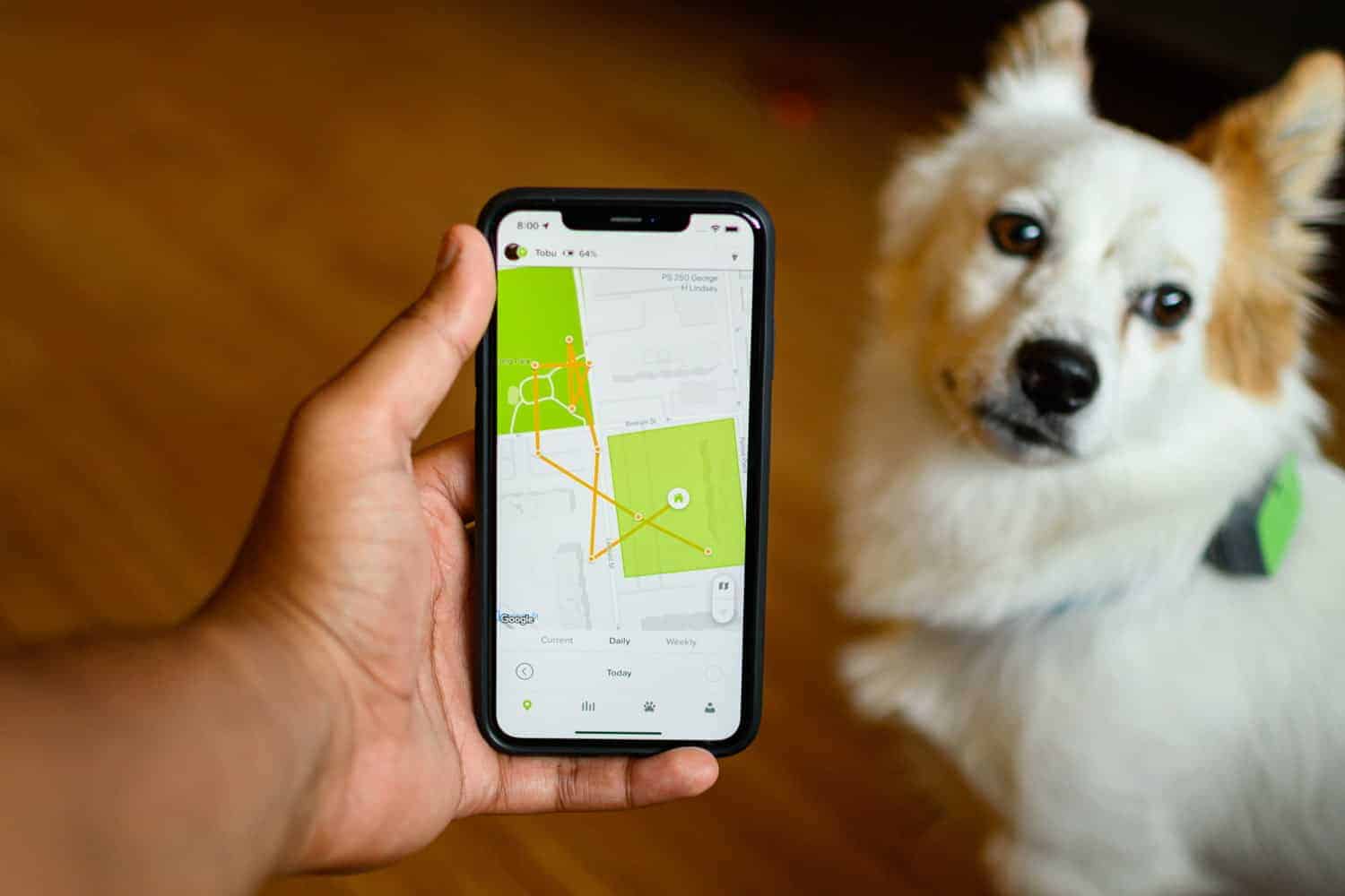10 Best Dog GPS Trackers in 2023