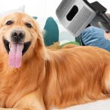 best dog vacuum brush