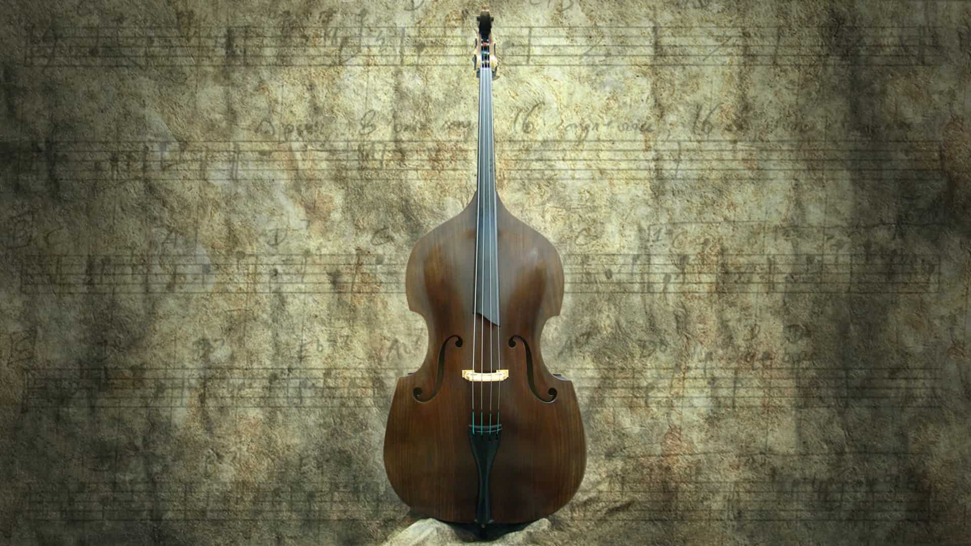 3 Best Upright Basses in 2023