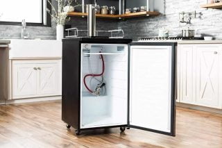 Best Kegerator