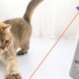Best Laser Pointer Cat Toy