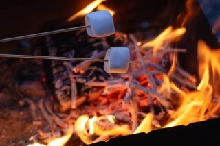 Best Marshmallow Roasting Sticks