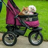 Best Pet Stroller