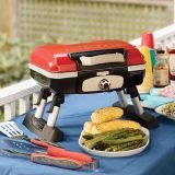 best small gas grill