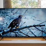 Best TV for Bright Room