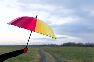 best umbrellas
