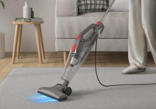 best vacuum for fleas