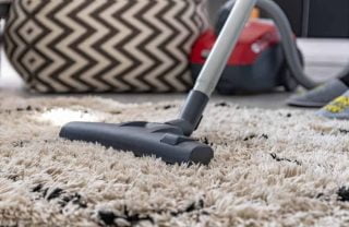 Best Vacuum For Shag Carpets In 2022 