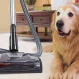 Best Vacuums for Pet Hair