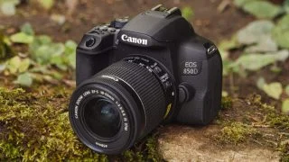 Best Digital Camera for Beginners