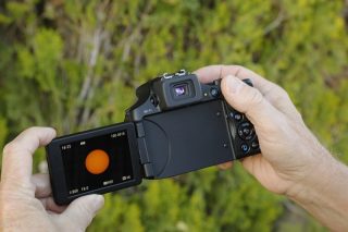Mirrorless vs Point and Shoot||