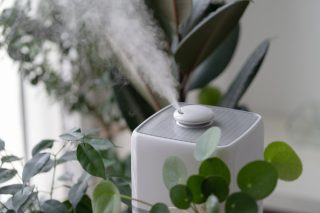 Does Air Purifier Help With Flu? - Combating Viruses and Bacteria