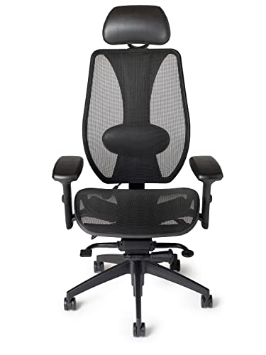 Ergocentric tCentric Hybrid Ergonomic Chair Review