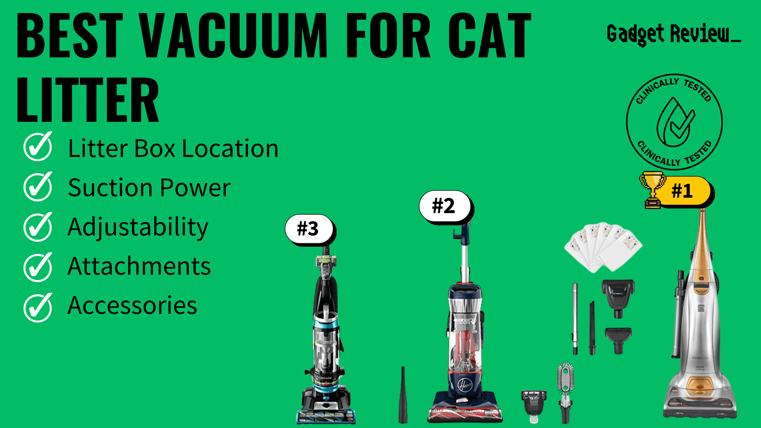 Best Vacuums for Cat Litter