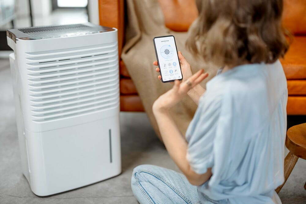 How Does the Bipolar Air Purifier Work
