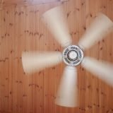 how much electricity does ceiling fan use