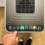 How to Clean an Air Purifier’s Electrostatic Filter