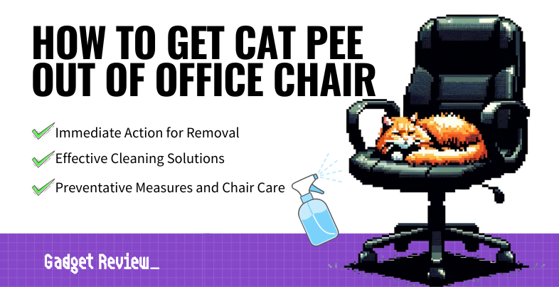 How to Get Cat Pee Out of Office Chair