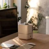 How to Use Ionic Ozone Air Purifier