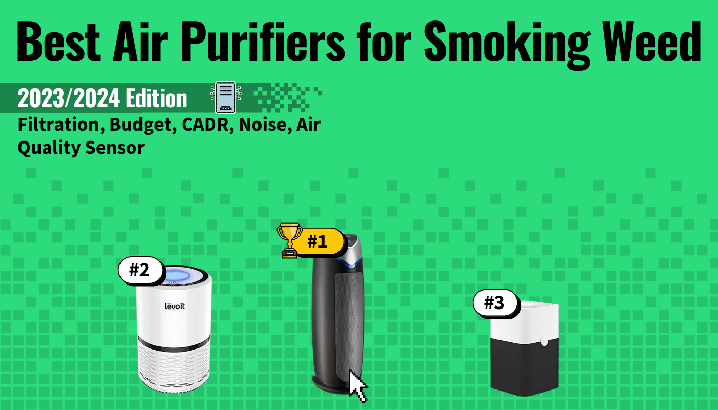 Best Air Purifiers for Smoking Weed