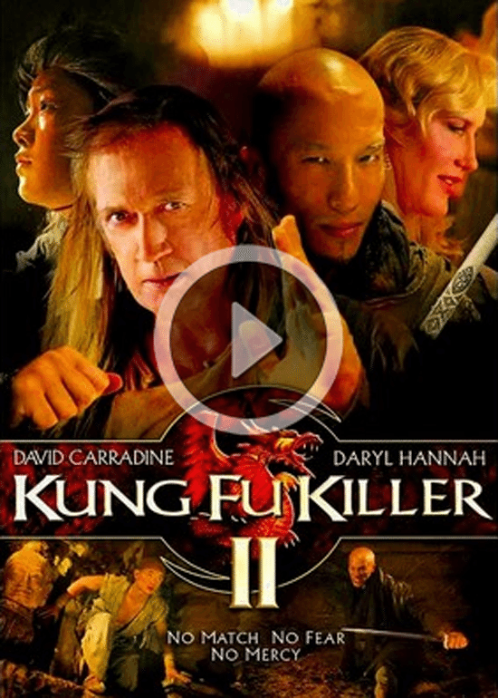 kung fu killer 2