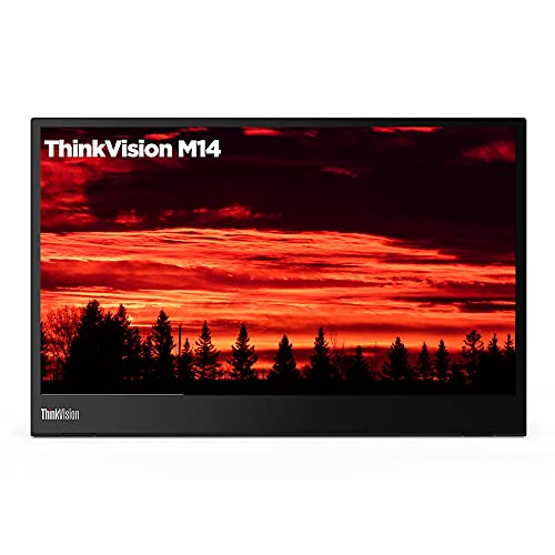 Lenovo Thinkvision M14 Review