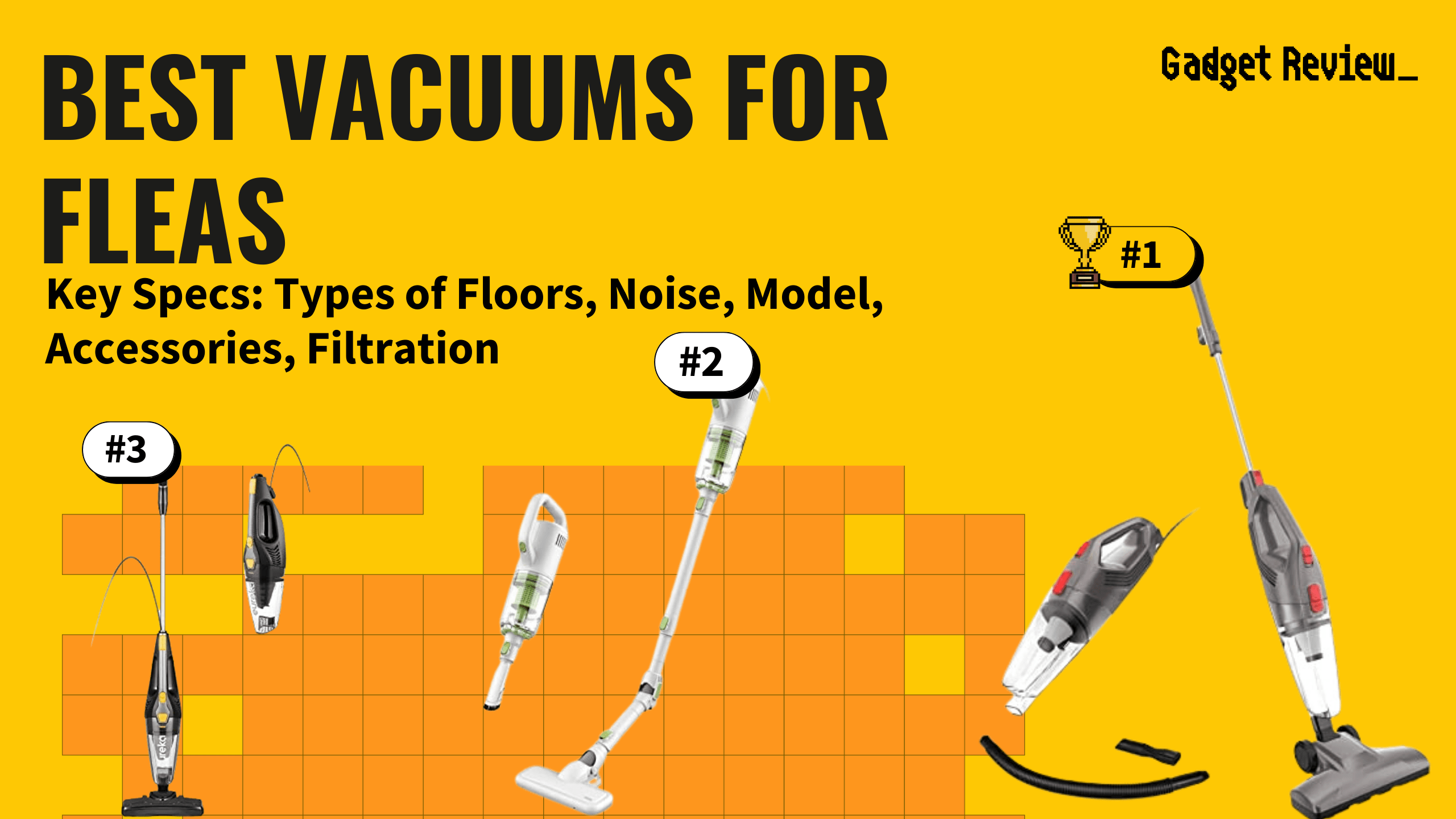 Best Vacuums for Fleas