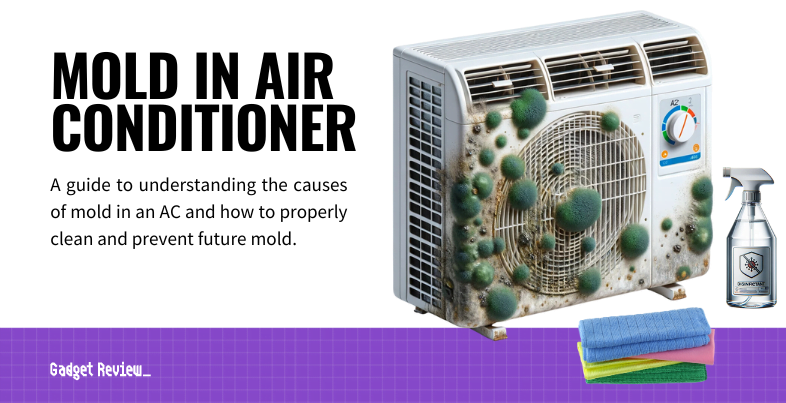 mold in air conditioner guide