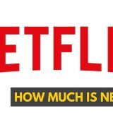 Netflix cost per month for DVD and streaming.