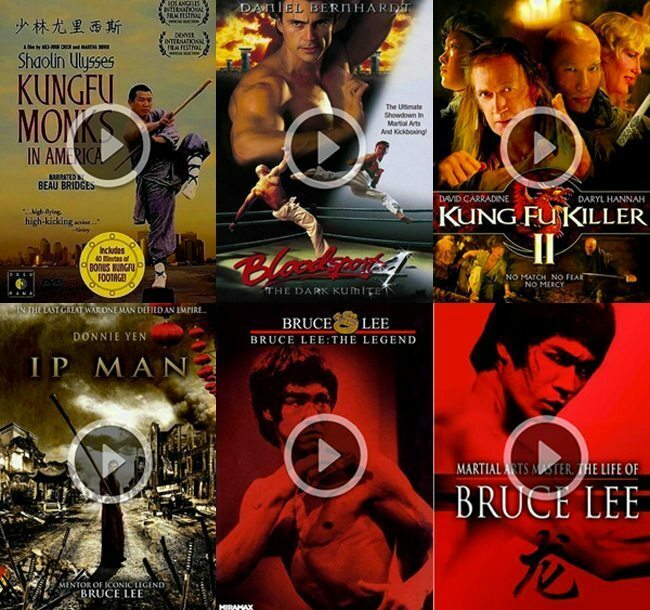 26 Kung Fu Movies Streaming On Netflix (list) - Gadget Review