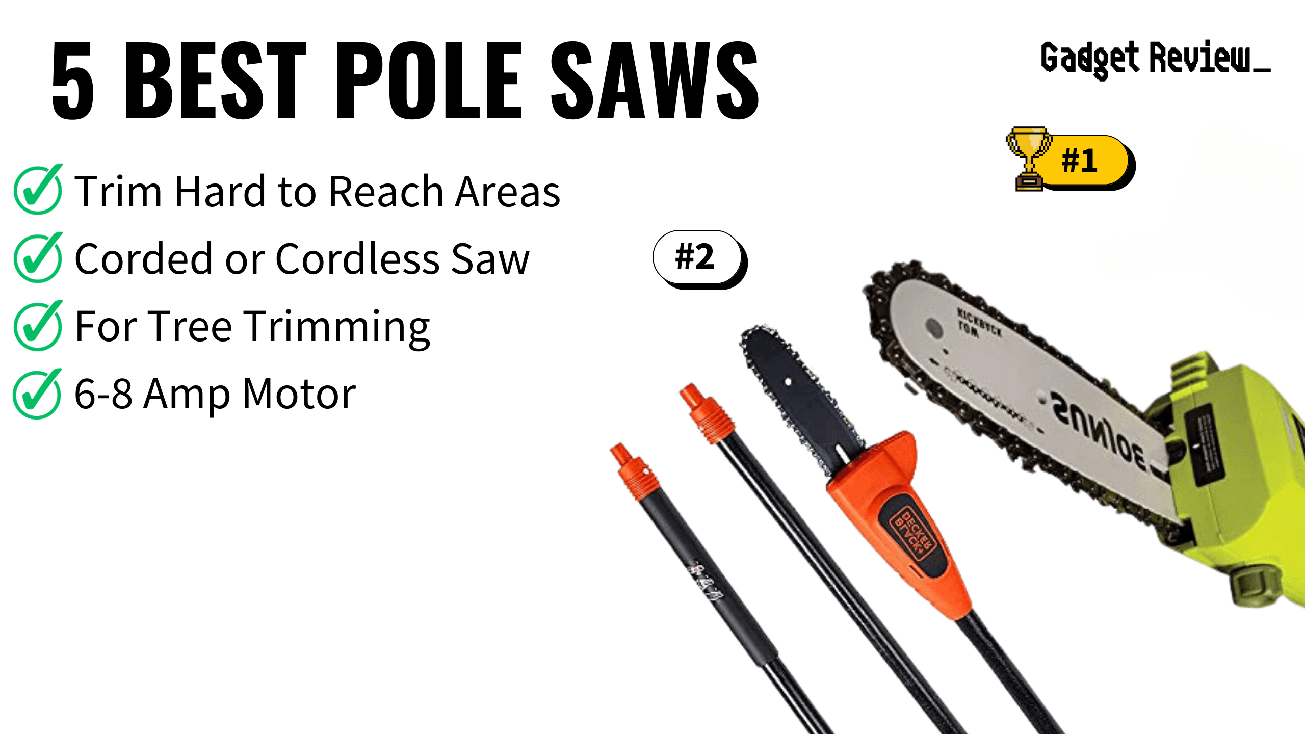 5 Best Pole Saws