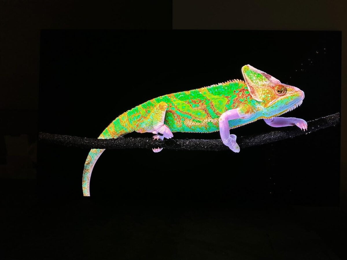 Best LED TV 2025 The TopRated LED/LCD Televisions