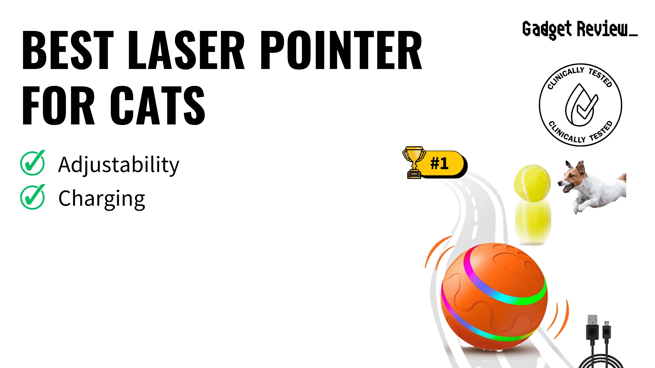 7 Best Laser Pointer for Cats