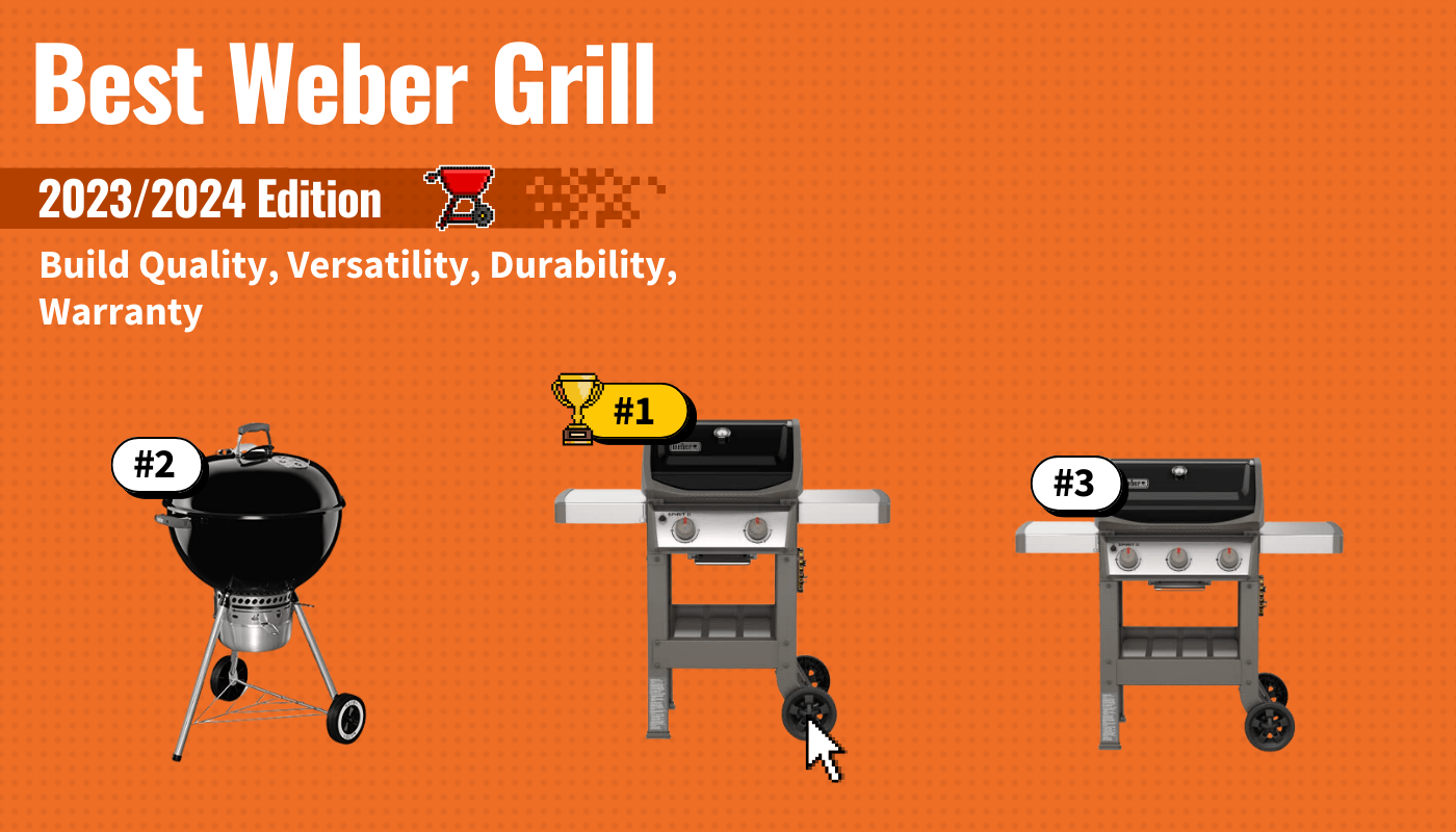 Best Weber Grills