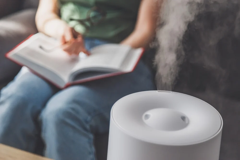 What A Dirty Air Purifier Filter Can Do To Your Home