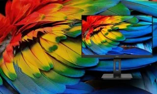 What is Color Gamut on Monitors