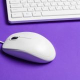 what is mouse
