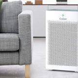 What is Ozone In an Air Purifier?